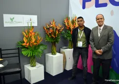John Tabarquino and José Figueroa at Aurora Flowers, which is specialized in tropical flowers. Together with some other growers in Colombia, they produce the most fantastic type of flowers rarely seen in most other parts of the world. Like heliconia, of which you here see a few different varieties.